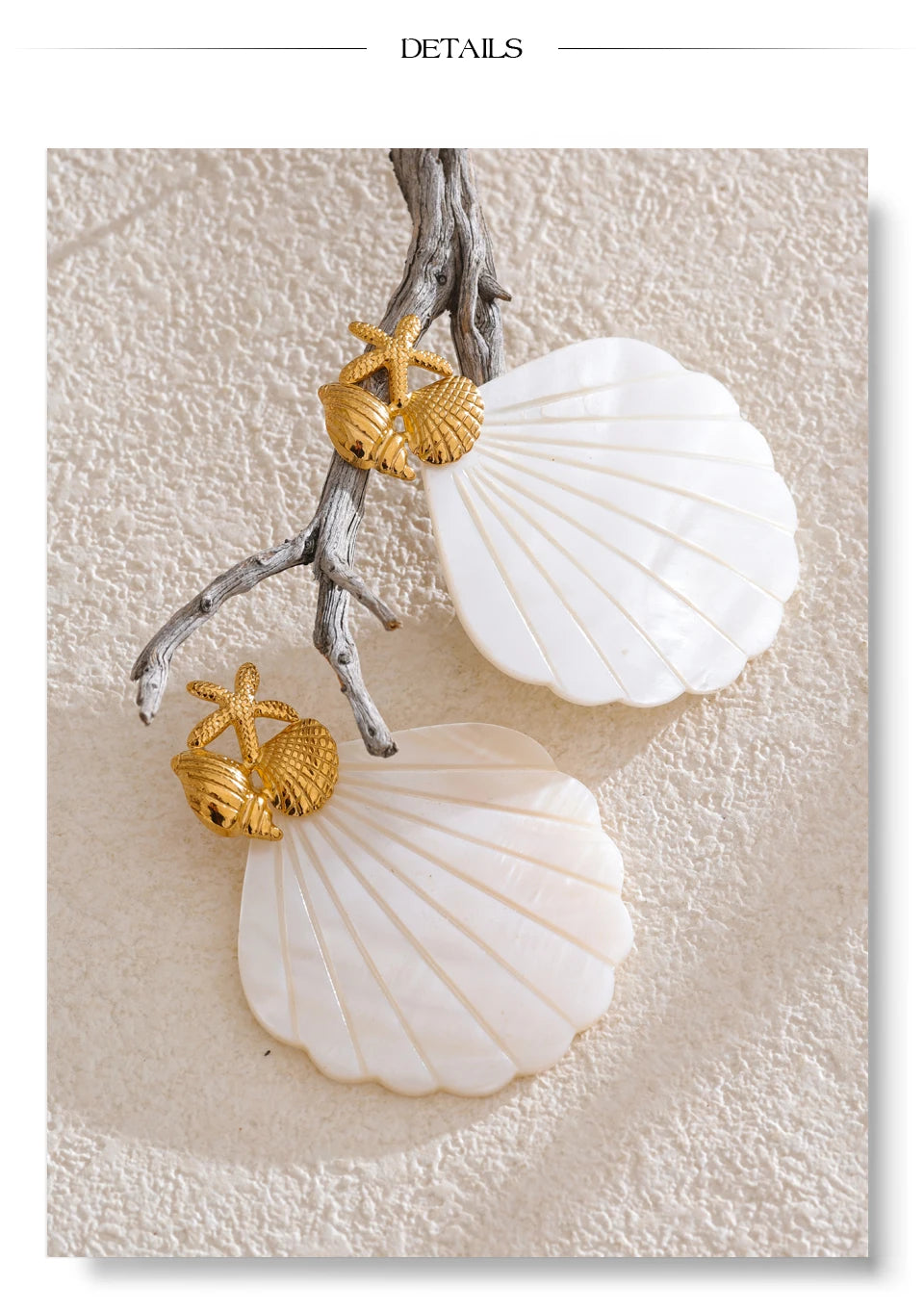 Ocean Muse Shell Earrings